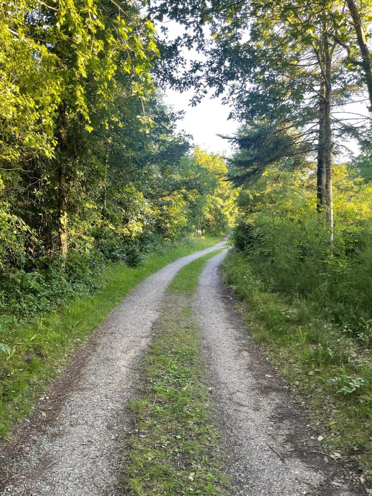 Sommerhus Med Anneks Ved Limfjorden 로슬레우 외부 사진